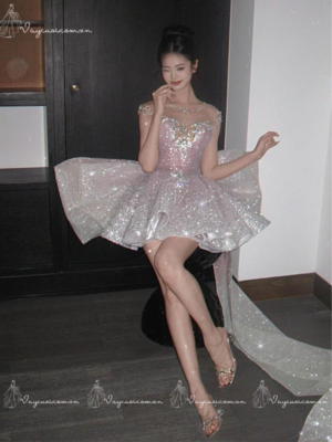 VC144 Đầm Dự Tiệc Công Chúa Lấp Lánh 4