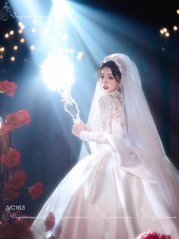VC163 ảnh 2